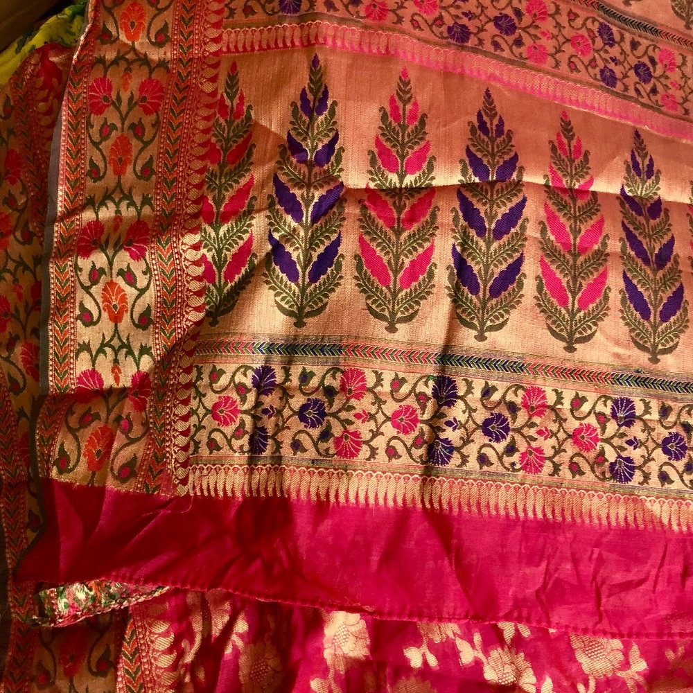 Indian sari